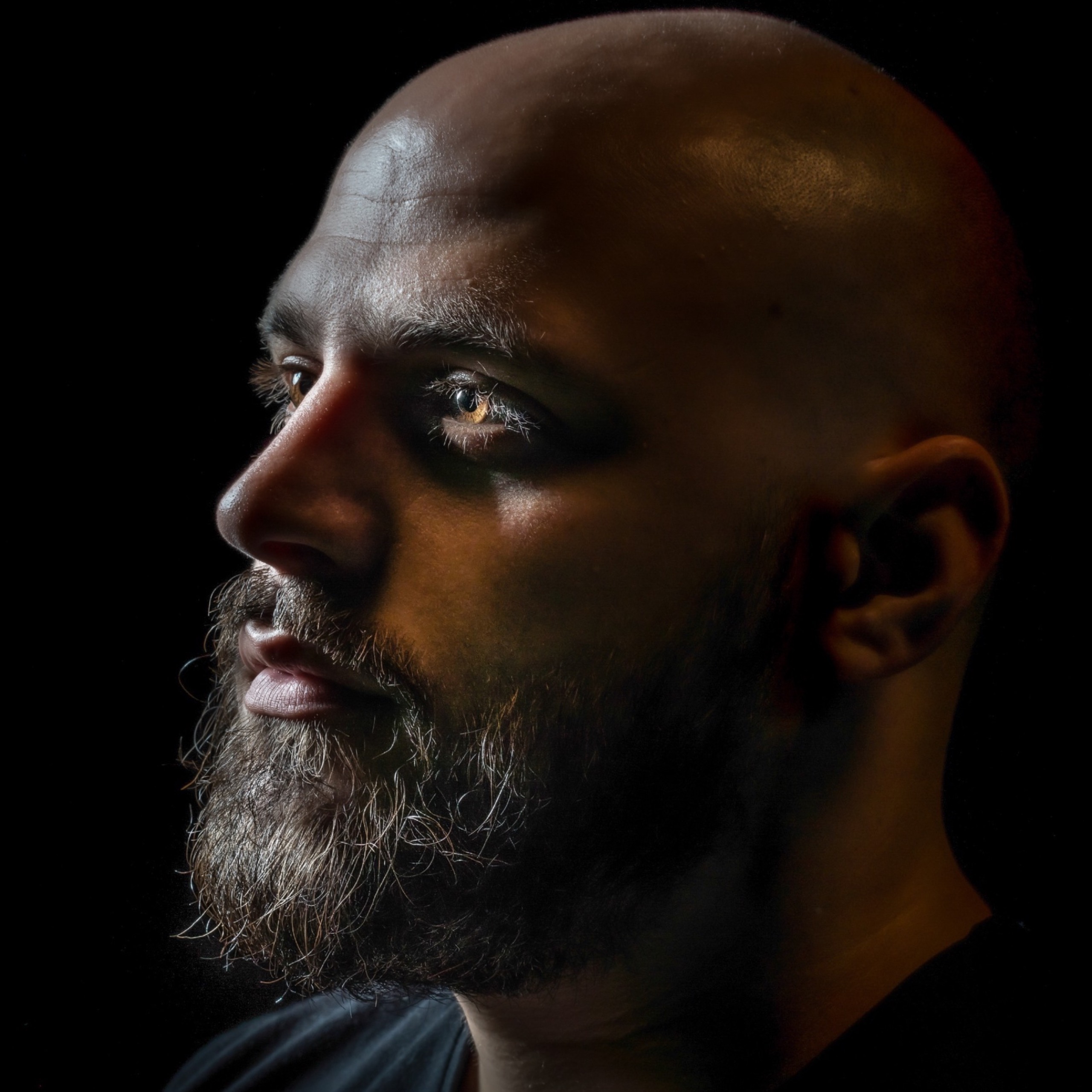 Portraits humains — image de couverture de la galerie