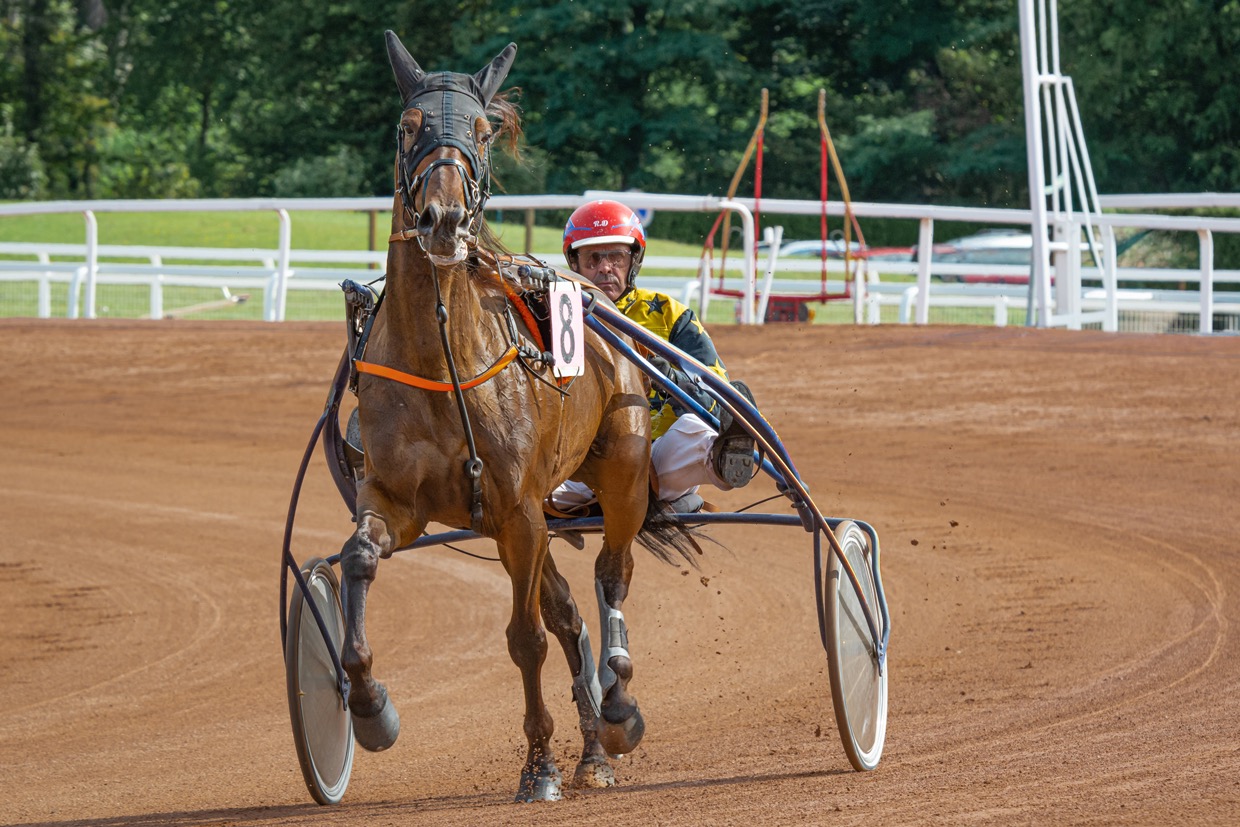 Sport — photographie de Yannic Hobé